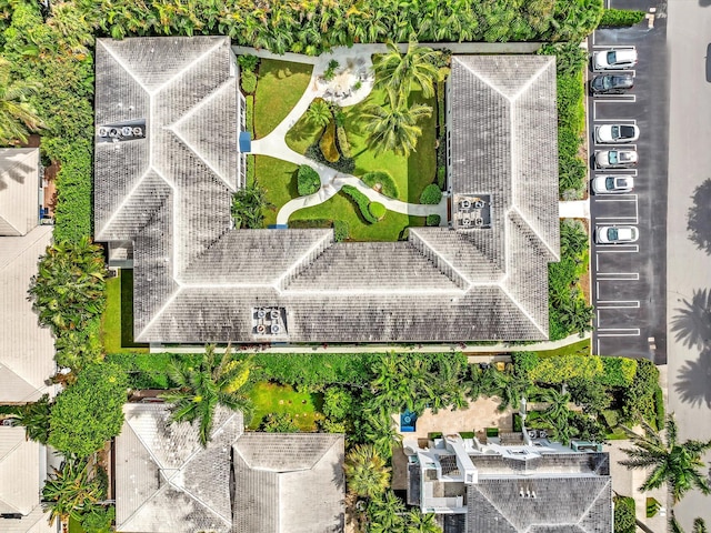 drone / aerial view