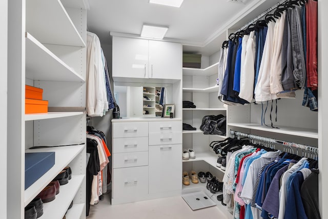 view of walk in closet