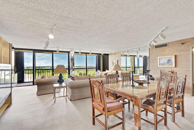 dining space with a wealth of natural light, a wall of windows, and rail lighting