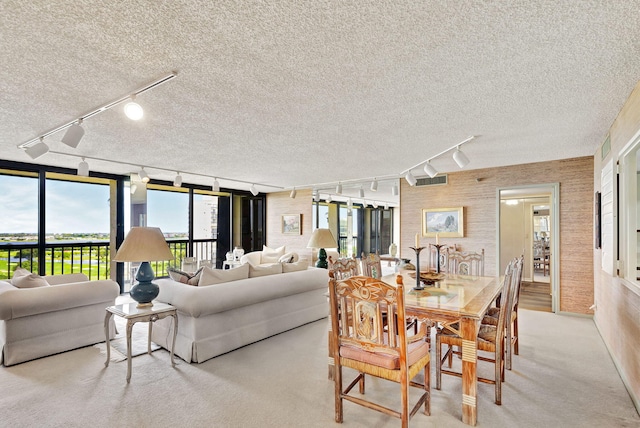 living room with a textured ceiling, track lighting, and light colored carpet