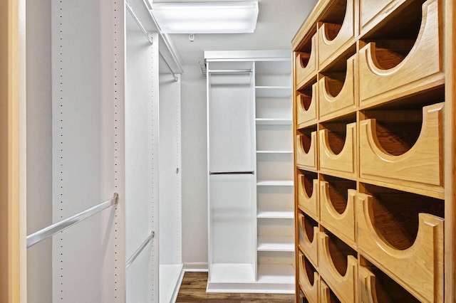 spacious closet with dark hardwood / wood-style flooring