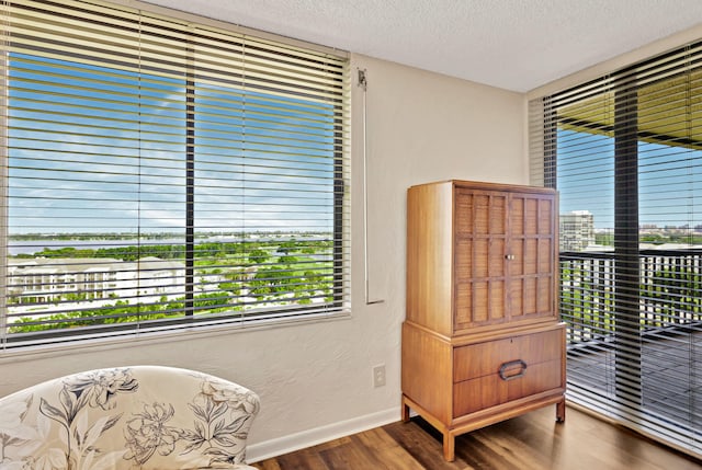 sitting room featuring a textured ceiling and hardwood / wood-style flooring