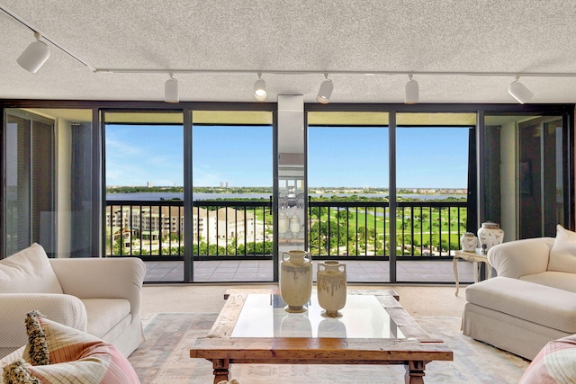 living room with a wall of windows, rail lighting, a textured ceiling, and carpet floors