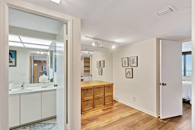 bathroom featuring wood-type flooring and vanity