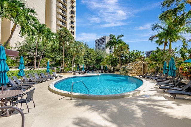 view of swimming pool with a patio