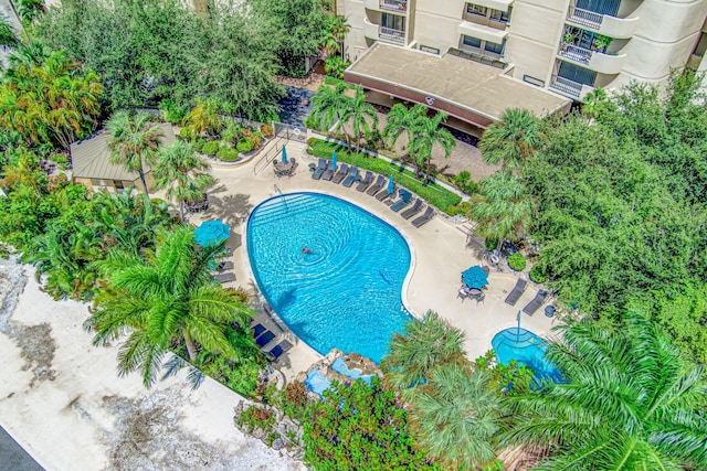 view of pool with a patio area