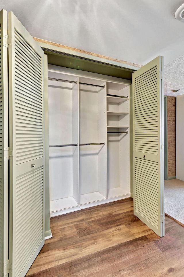 view of closet