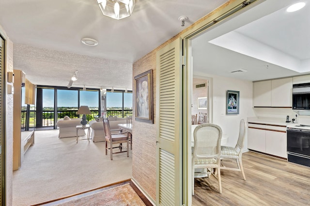 sunroom / solarium with track lighting