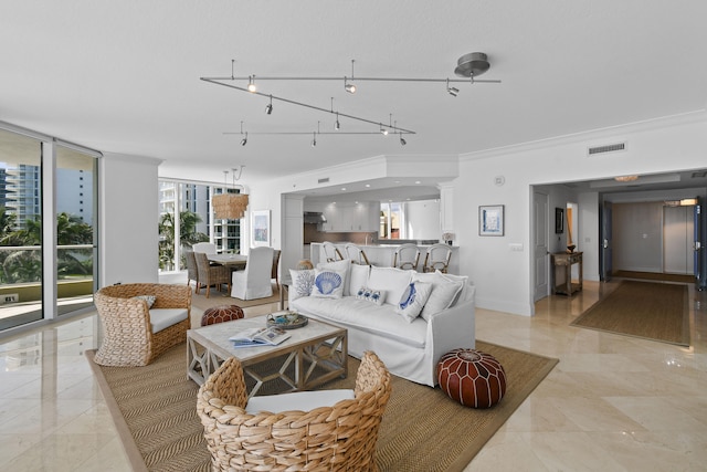 living room featuring crown molding