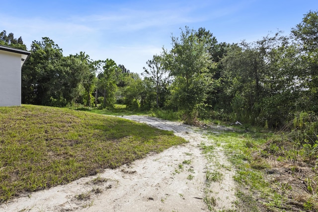 3848 NW 19th Ave, Okeechobee, FL 34972 - view of street featuring a forest view