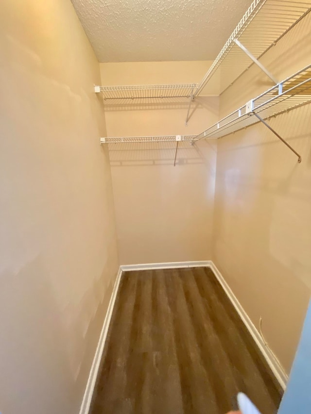 walk in closet with wood-type flooring