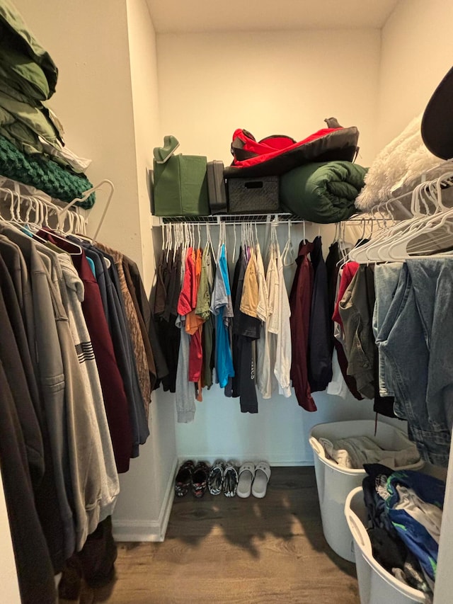 spacious closet with hardwood / wood-style floors