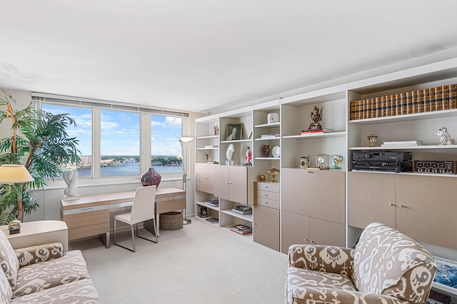 living area with light carpet and a water view