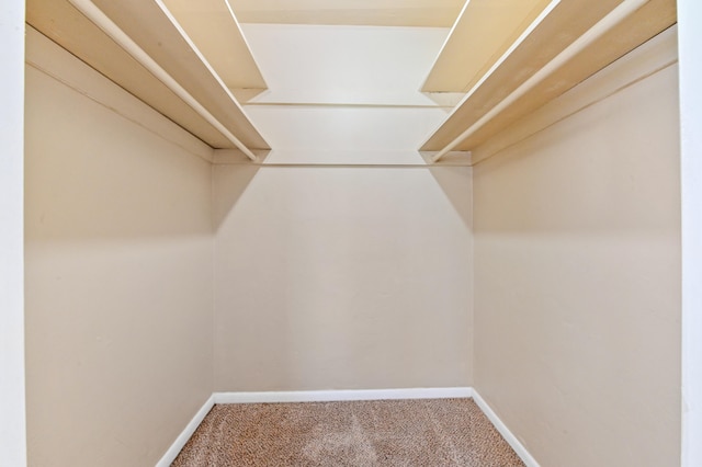 walk in closet featuring carpet