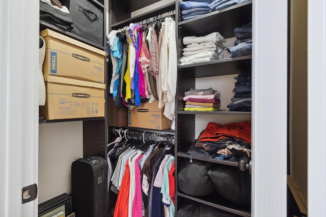 view of walk in closet