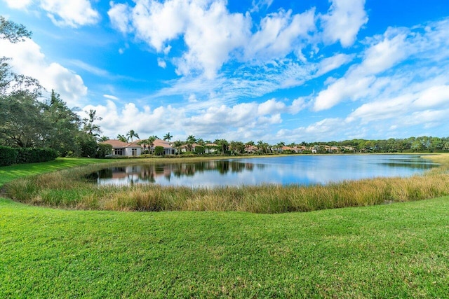 water view