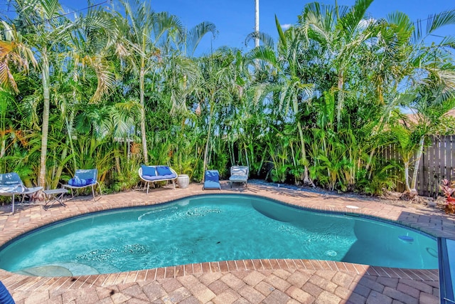 view of pool featuring a patio