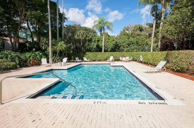 view of swimming pool with a patio