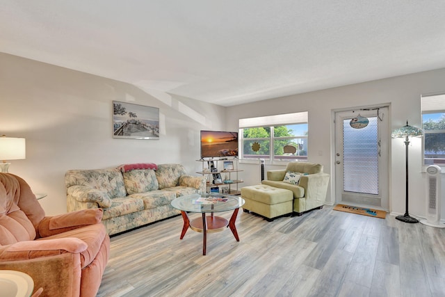 living room featuring light wood-type flooring and a healthy amount of sunlight