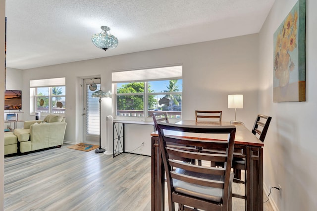 dining area featuring light hardwood / wood-style floors, plenty of natural light, and a textured ceiling