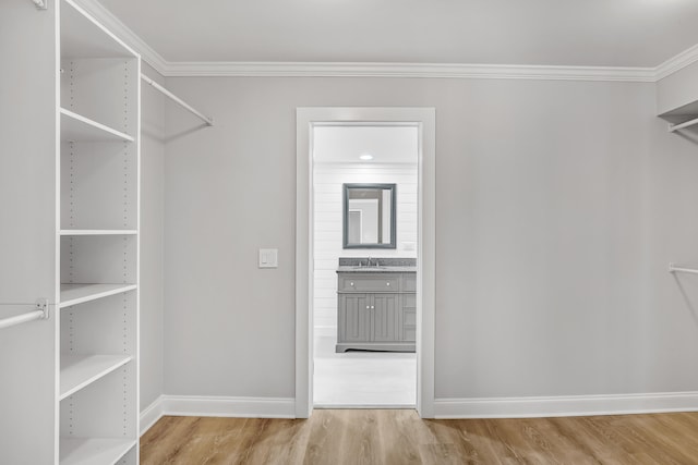 walk in closet with hardwood / wood-style floors and sink