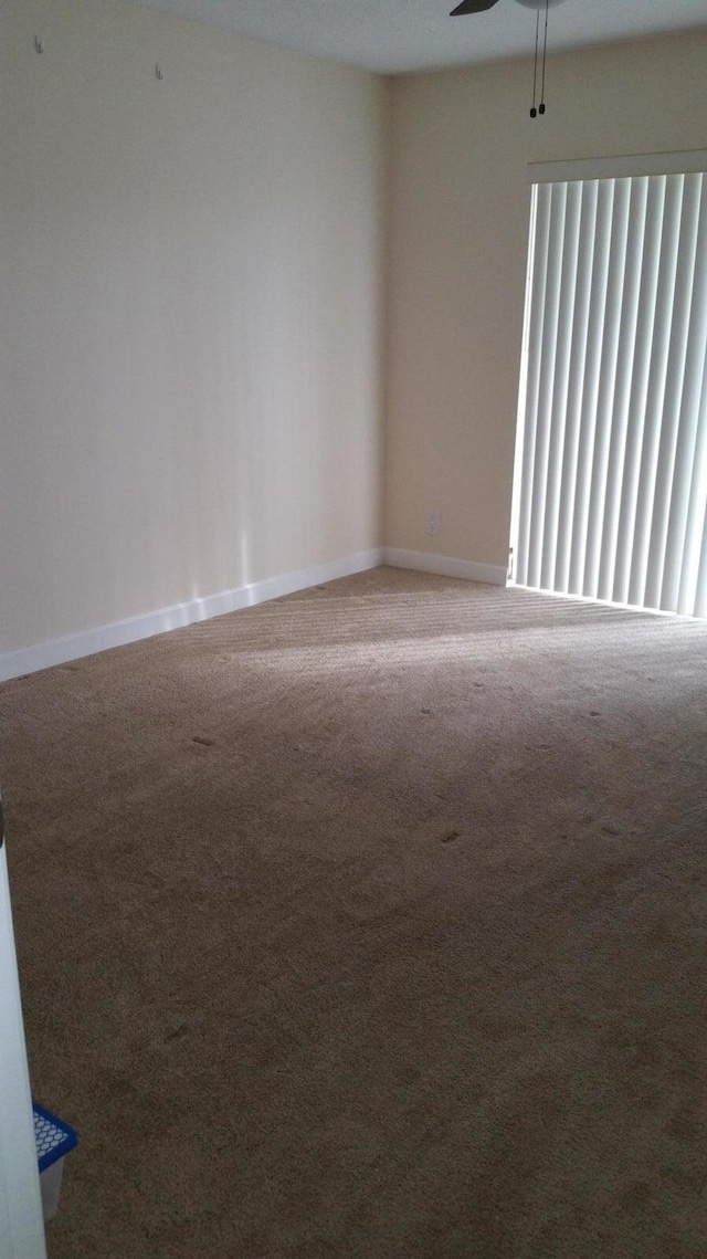 unfurnished room with ceiling fan and carpet flooring