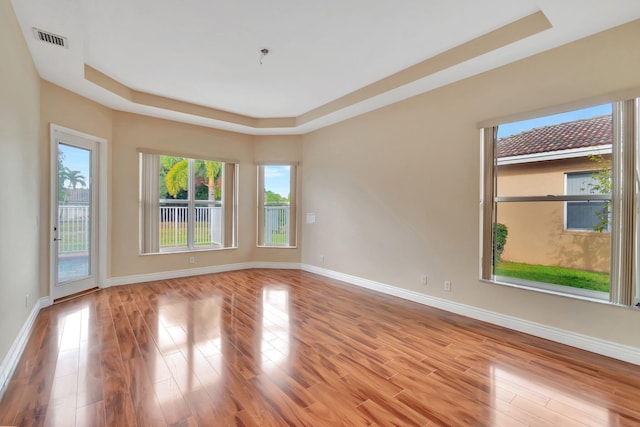 empty room featuring a raised ceiling and light hardwood / wood-style floors