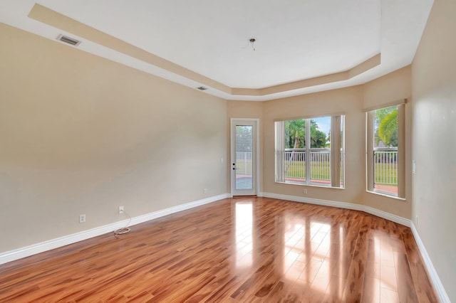 unfurnished room with plenty of natural light, light hardwood / wood-style floors, and a tray ceiling