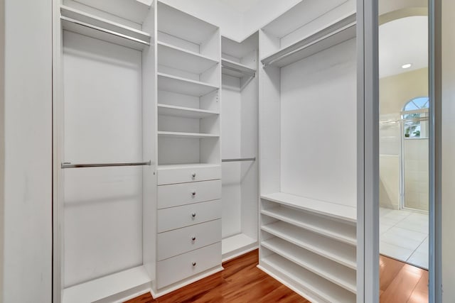 spacious closet featuring wood-type flooring