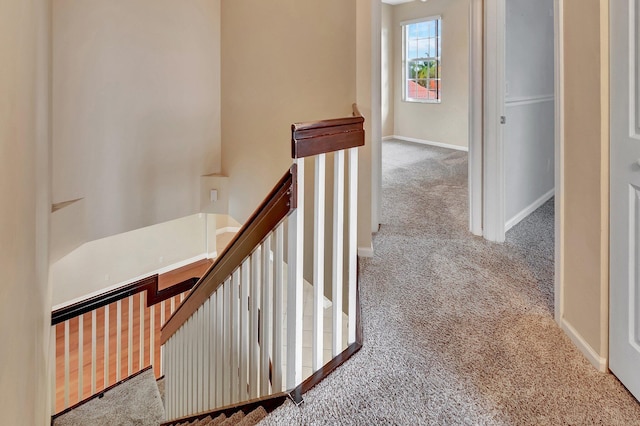 hallway featuring carpet flooring