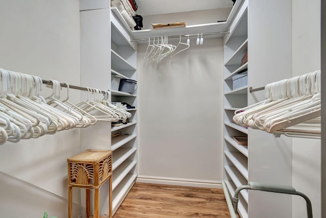 walk in closet featuring wood-type flooring