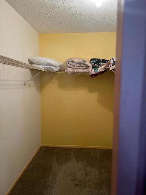 spacious closet with dark colored carpet