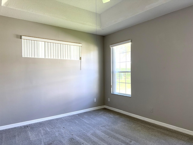 empty room featuring carpet and a textured ceiling