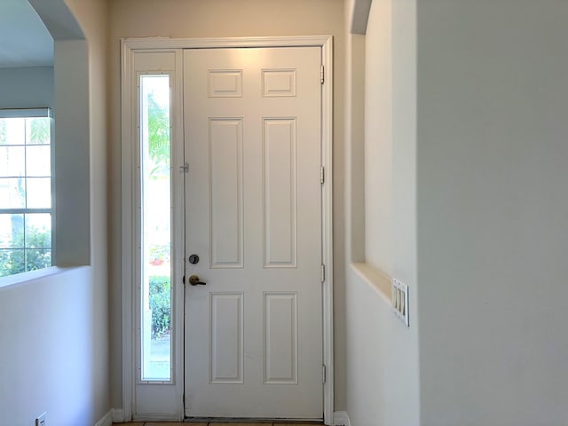 foyer with a healthy amount of sunlight