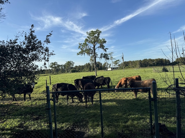 view of yard with a rural view