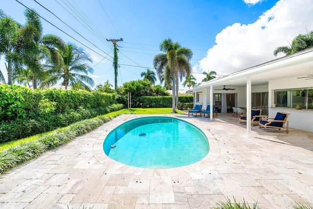 view of pool featuring a patio and ceiling fan