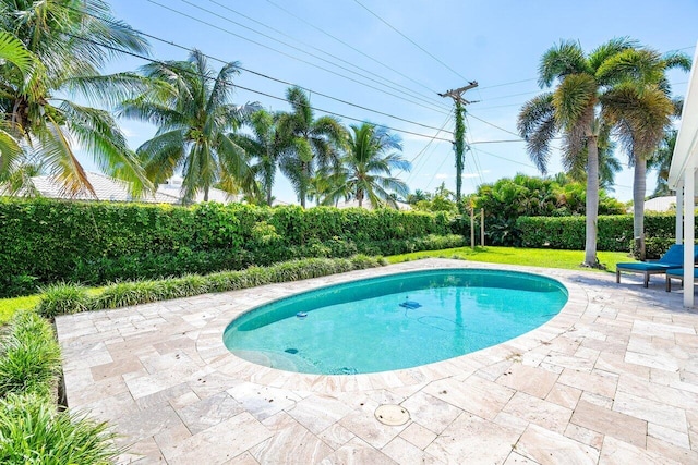 view of swimming pool with a patio area