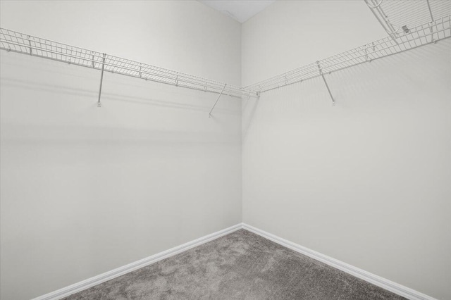 spacious closet with carpet