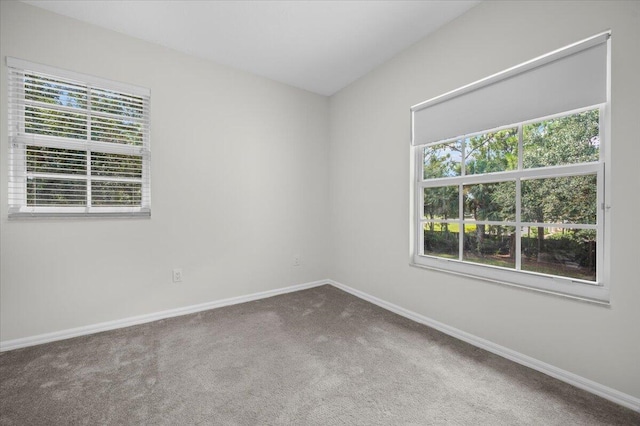 view of carpeted spare room