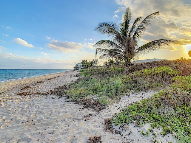 water view featuring a beach view