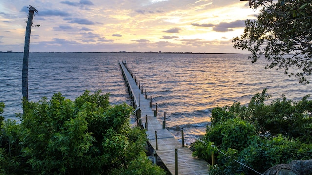 dock area featuring a water view