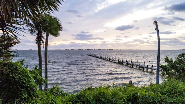 dock area with a water view