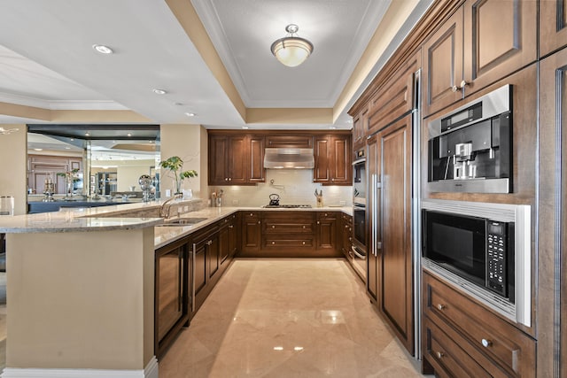 kitchen featuring sink, light stone counters, crown molding, kitchen peninsula, and stainless steel appliances