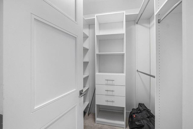 spacious closet featuring carpet floors