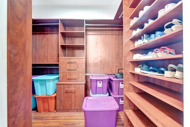 spacious closet with light hardwood / wood-style flooring