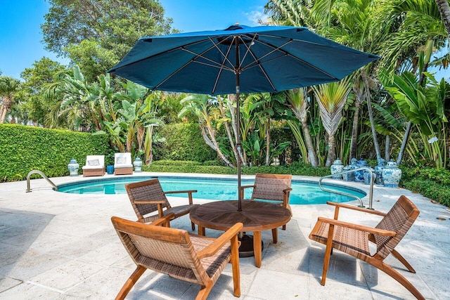 view of swimming pool with a patio