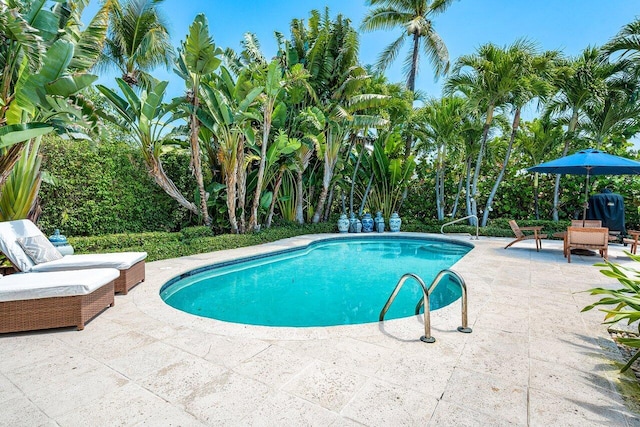 view of swimming pool with a patio area