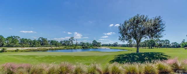 surrounding community with a water view and a yard