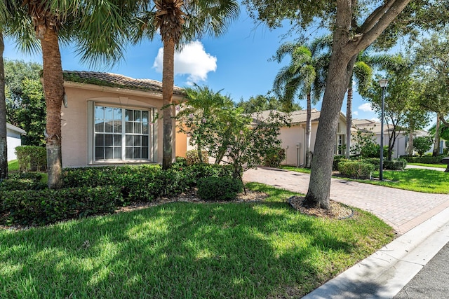 view of front of property featuring a front lawn, stucco siding, decorative driveway, and a tiled roof