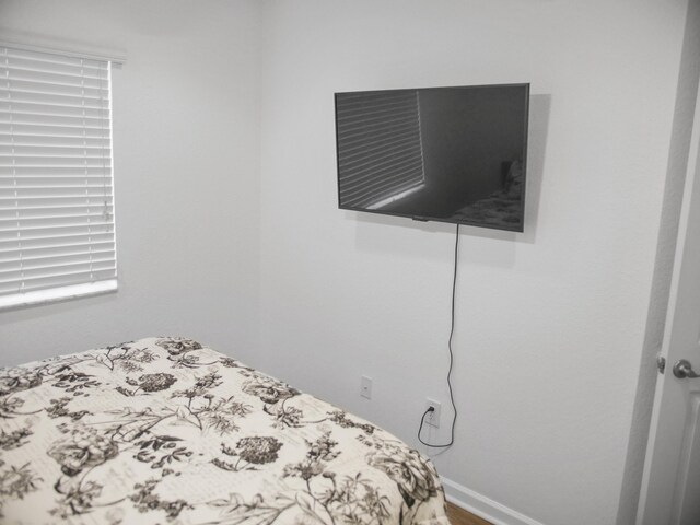 bedroom featuring multiple windows and dark hardwood / wood-style flooring